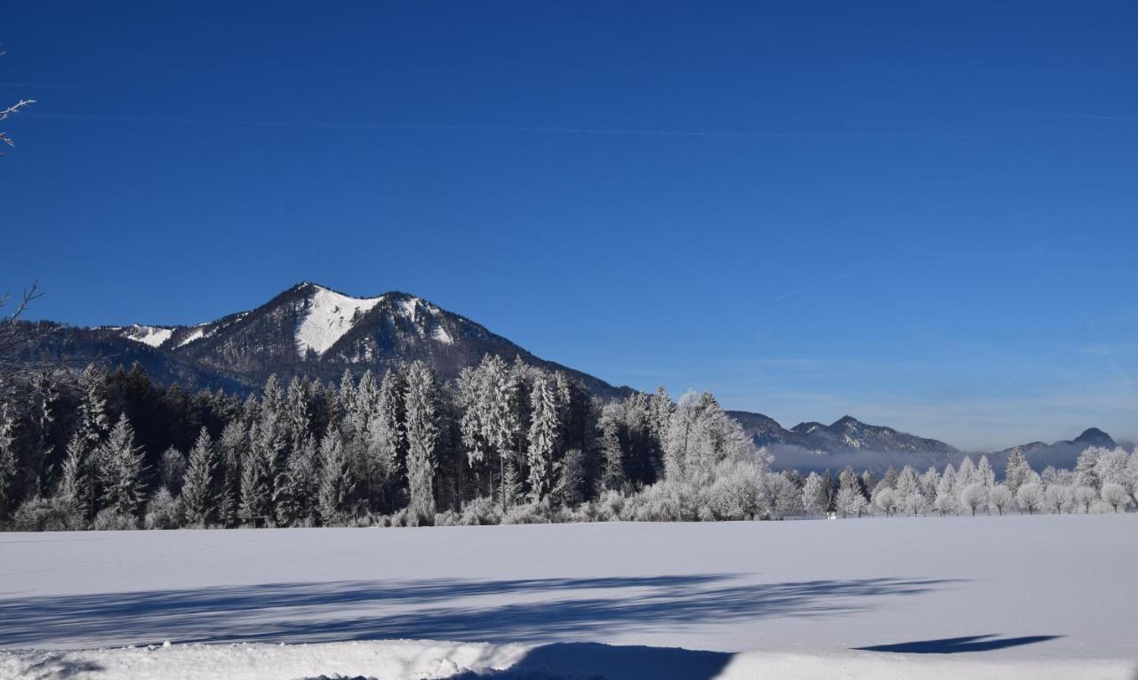 Loitzbauer Ferienwohnungen Sankt Gilgen Exterior foto