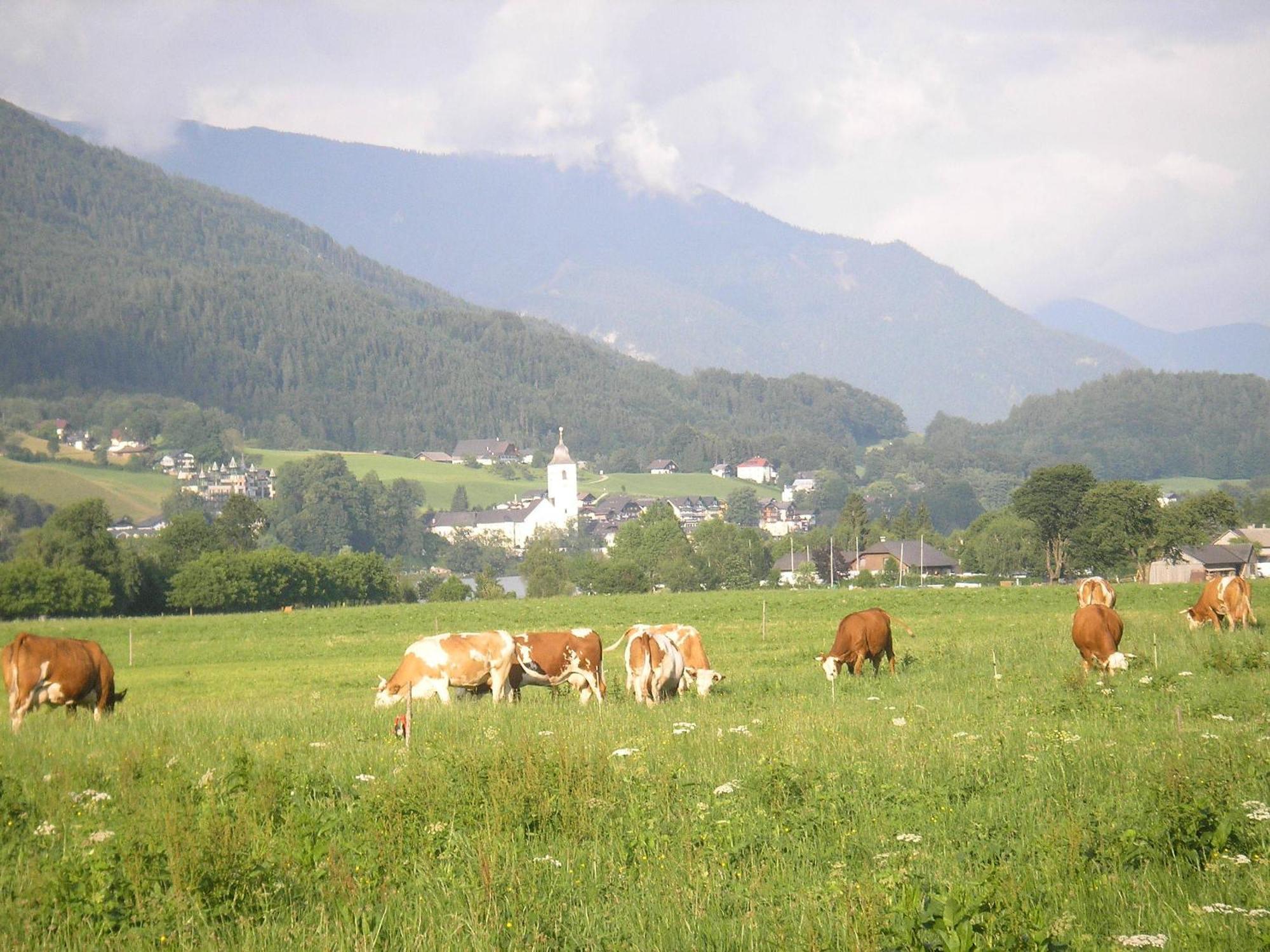 Loitzbauer Ferienwohnungen Sankt Gilgen Exterior foto